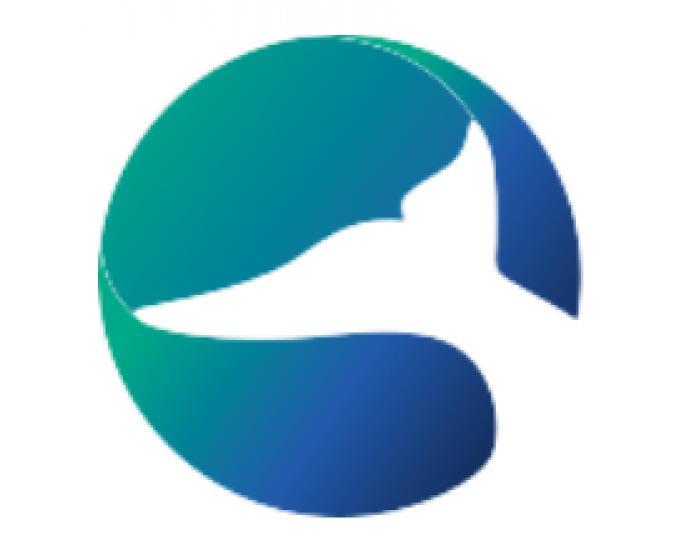 Orca Systems