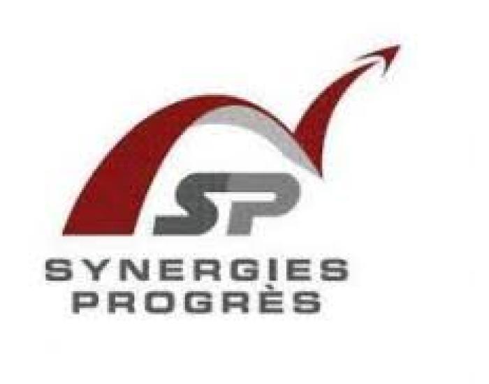 synergies progres